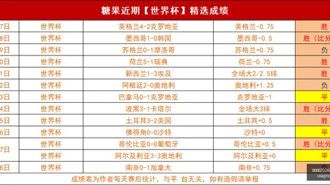 阿拉伊贝戈维奇加盟亚特兰大，2026世界杯，尘埃落定，勒沃库森标价高达3000万欧元引关注